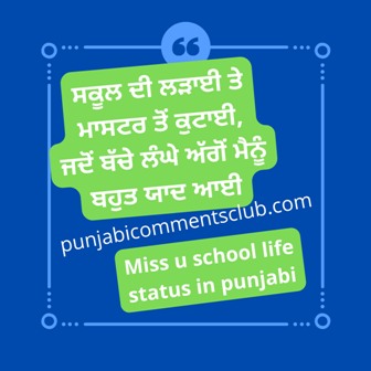 School status in punjabi | instagram bio in punjabi language | bio instagram for boys punjabi